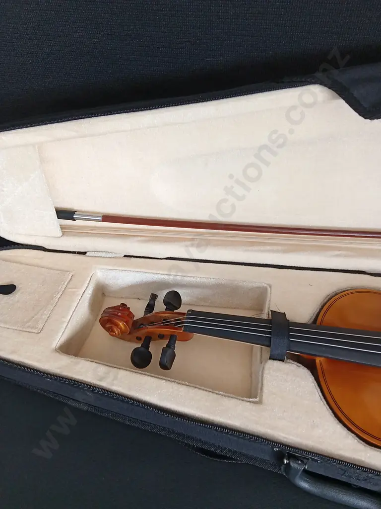 VIOLIN IN CASE Image 1++