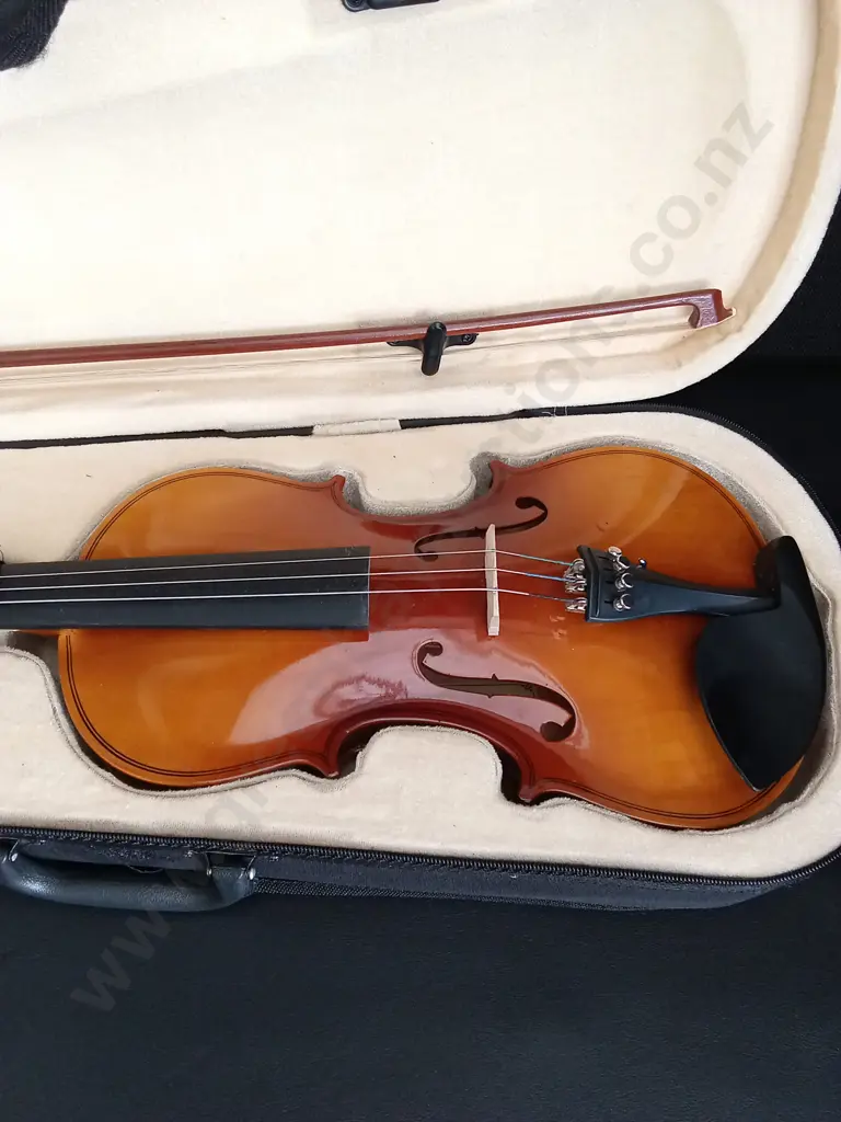 VIOLIN IN CASE Image 1++