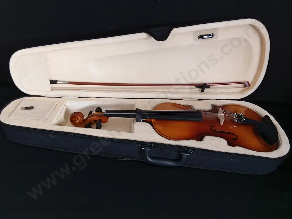 VIOLIN IN CASE Image 1++