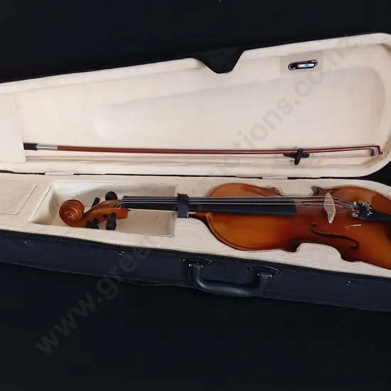 VIOLIN IN CASE