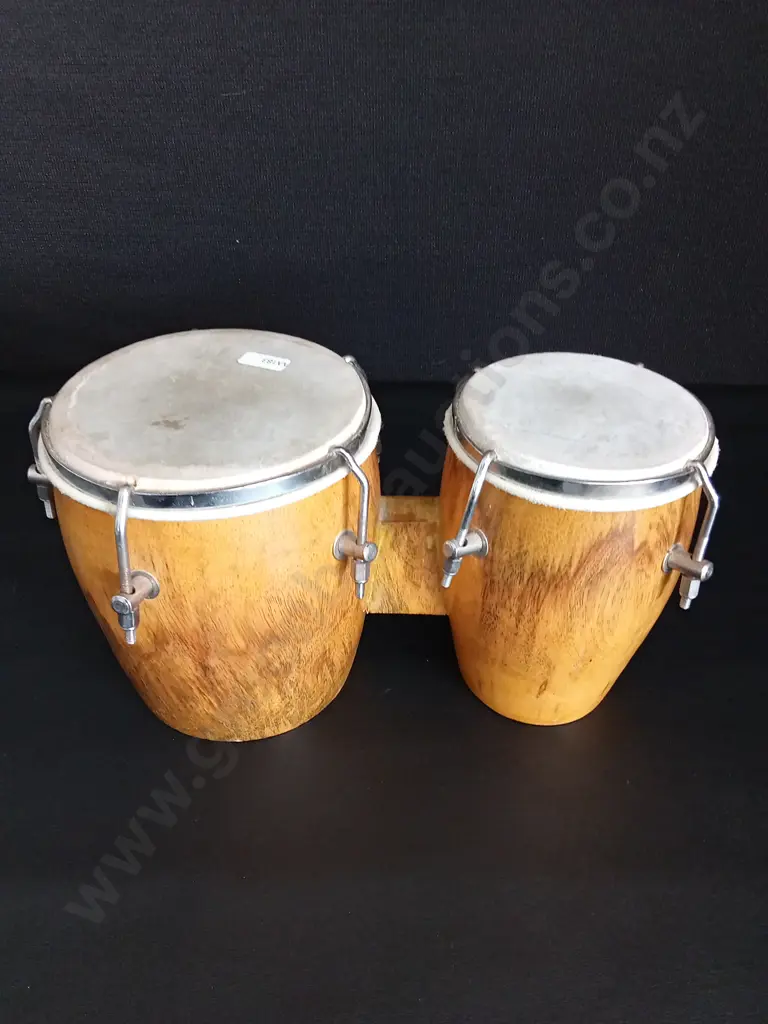 ACOUSTIC BONGO DRUMS Image 1++