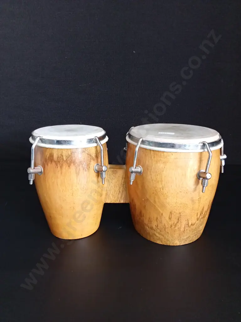 ACOUSTIC BONGO DRUMS Image 1++