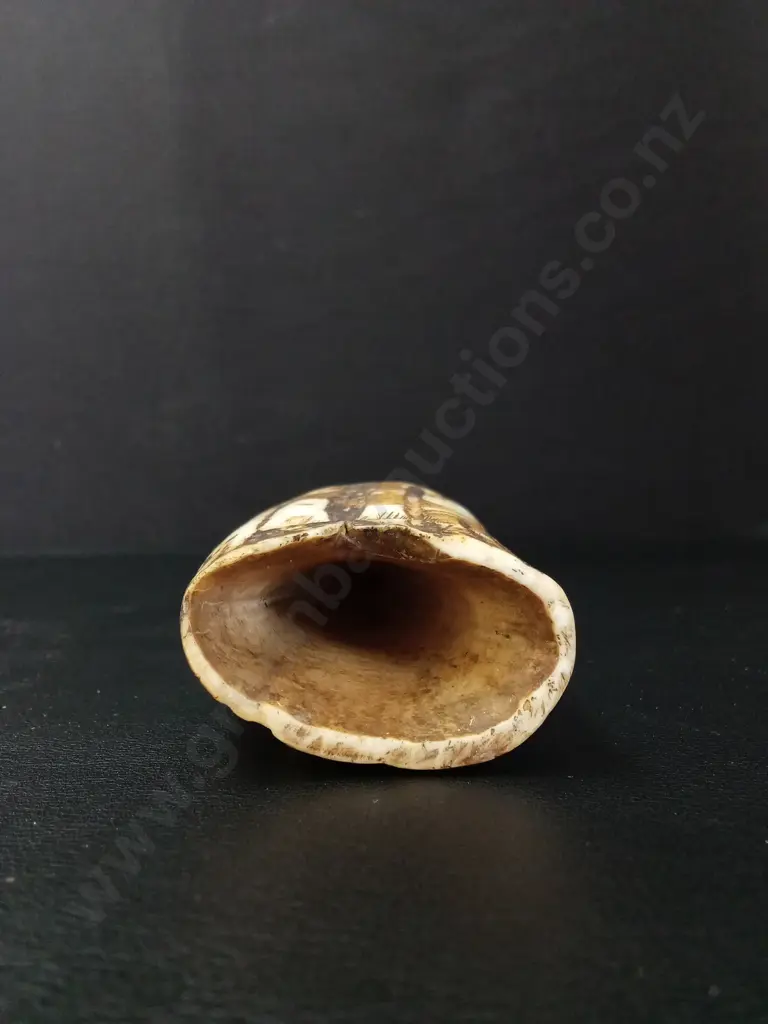 SPERM WHALE TOOTH L13.5CM Image 1++