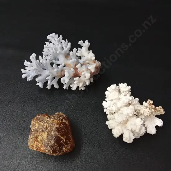2 PIECES OF CORAL LARGEST H14CM AND PIECE OF TREE RESIN