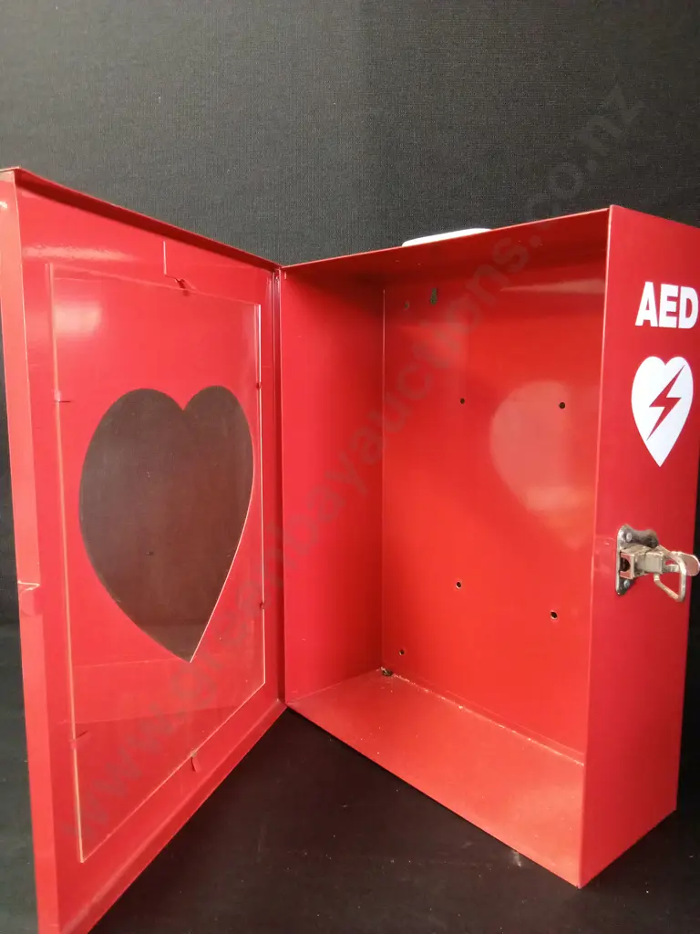 EMPTY DEFIBRILLATOR CABINET H45.5CM L36CM D14CM Image 1++