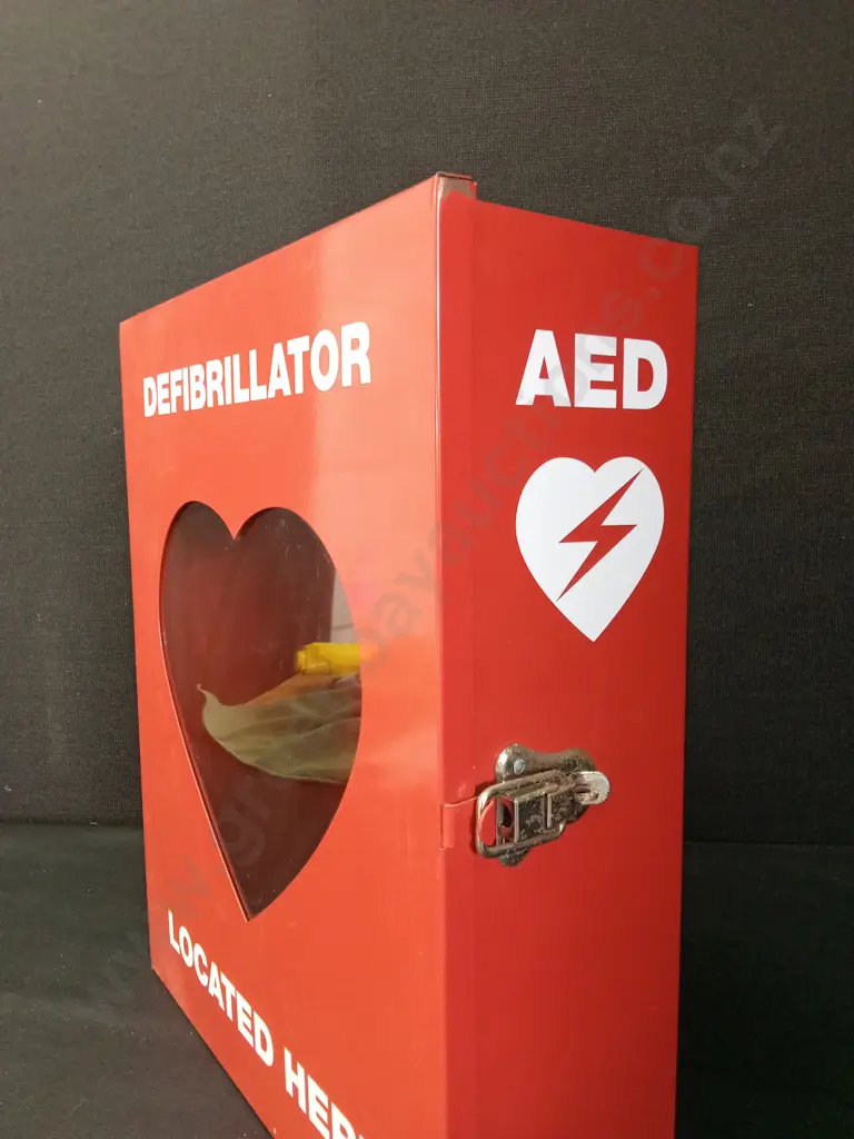 EMPTY DEFIBRILLATOR CABINET H45.5CM L36CM D14CM Image 1++