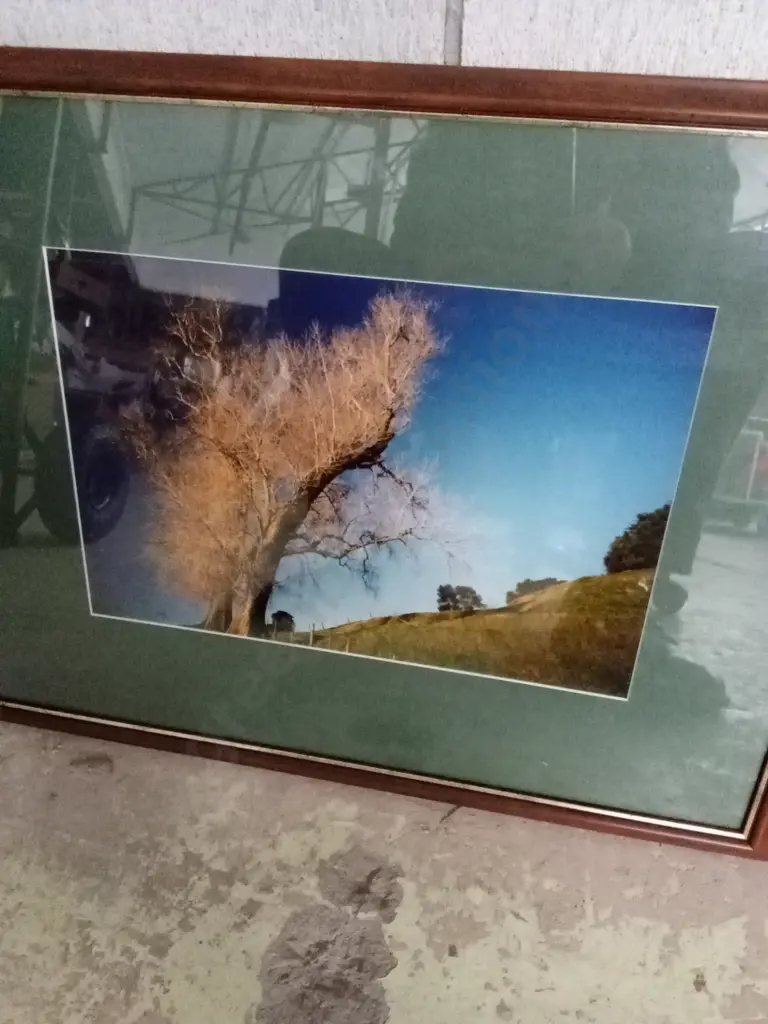 2 FRAMED PHOTOGRAPHS L63CM H50CM Image 1++