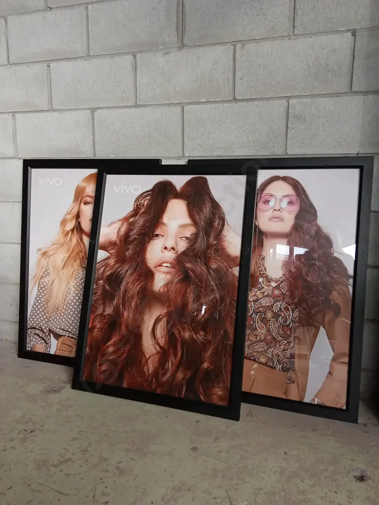 3 FRAMED VIVO ADVERTISEMENTS L67CM H91CM Image 1++