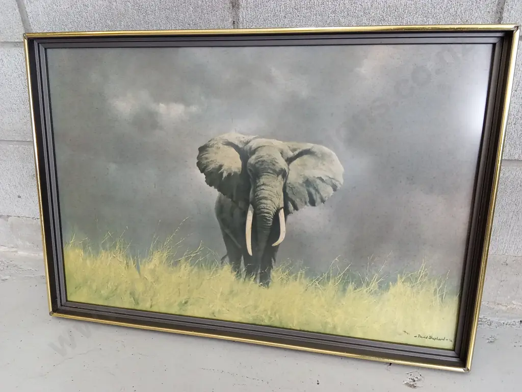 FRAMED "WISE OLD ELEPHANT" PRINT BY DAVID SHEPARD, 80 CM WIDE Image 1++