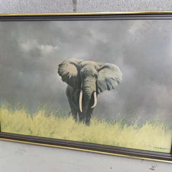 FRAMED "WISE OLD ELEPHANT" PRINT BY DAVID SHEPARD, 80 CM WIDE