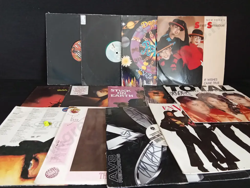 13 VINYL RECORDS Image 1++