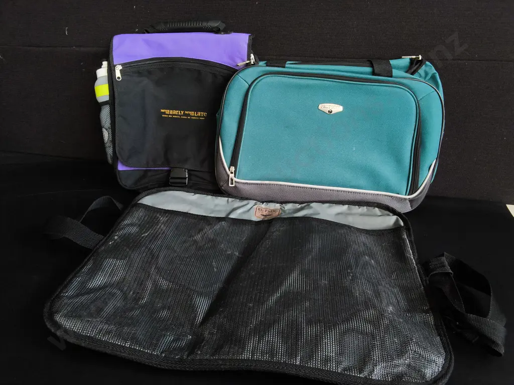 3 TRAVEL AND ORGANISATION BAGS, WIDEST W 55 CM Image 1++