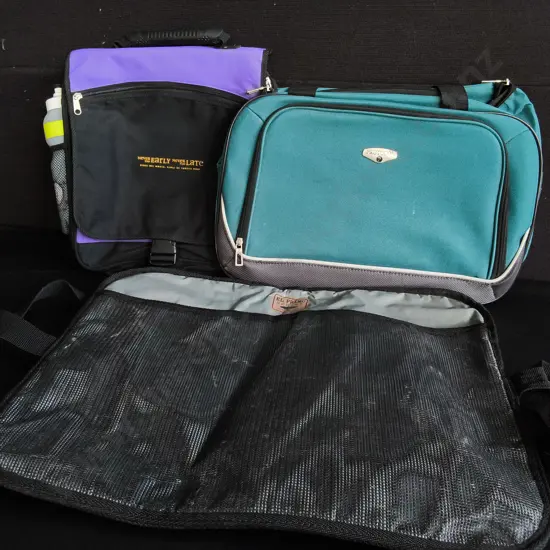 3 TRAVEL AND ORGANISATION BAGS, WIDEST W 55 CM