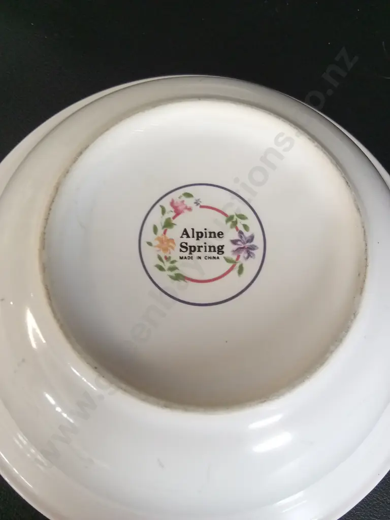 5 GLO-WHITE IRONSTONE ALFRED MEAKIN SAUCERS DIA 14CM AND 3 ALPINE SPRING BOWLS DIA 17CM Image 1++