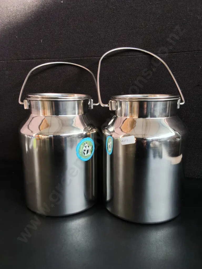 PAIR OF STAINLESS STEEL MILK CANS, H 22 CM Image 1++