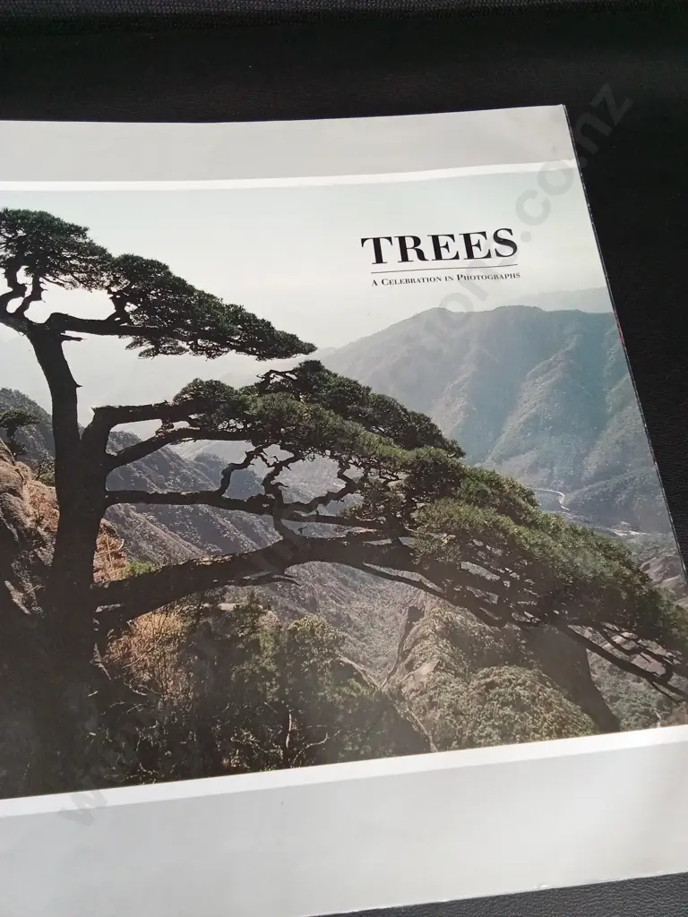 TREES A CELEBRATION IN PHOTOGRAPHS ABD FOOTROT FLATS WEEKENDER 4 Image 1++