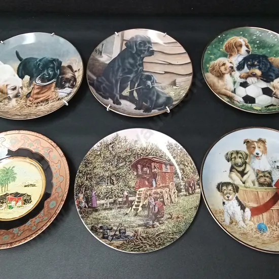 6 DECORATIVE PLATES LARGEST DIA 20CM