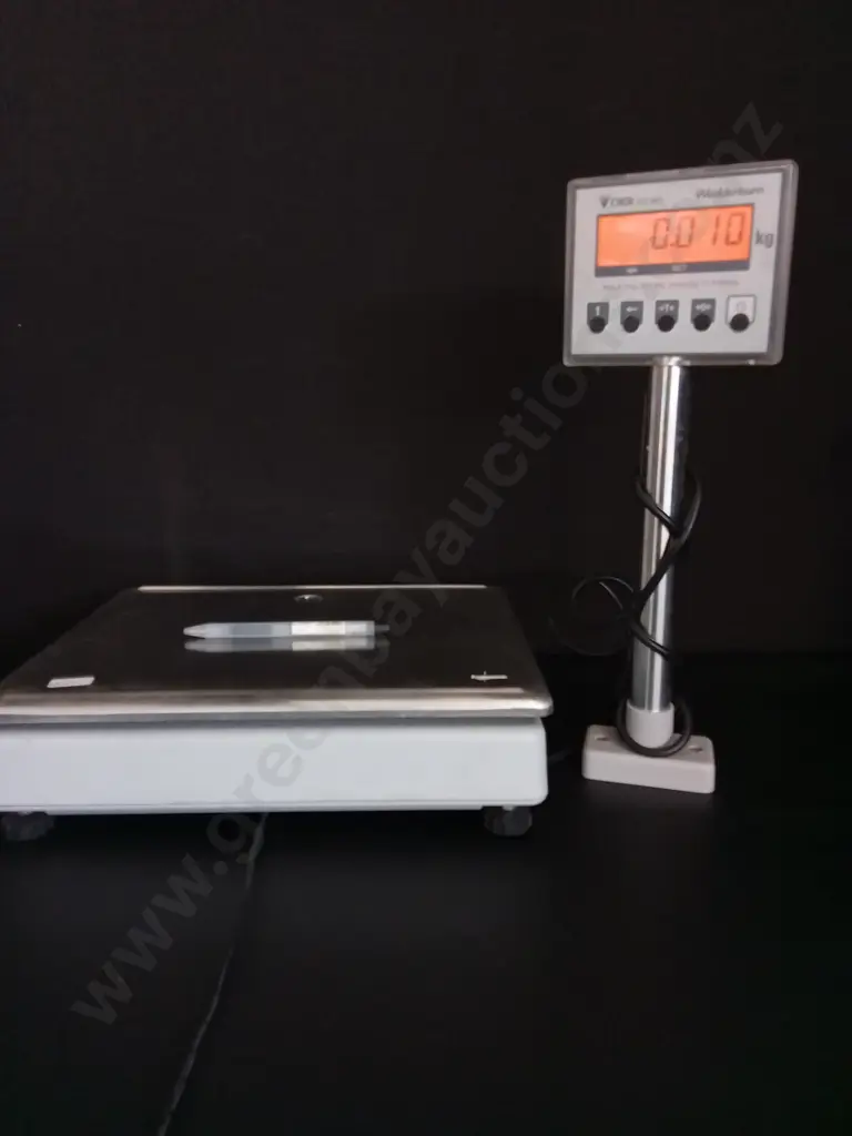 DIGITAL WEDDERBURN WEIGHING SCALE, MODEL DS-983C Image 1++