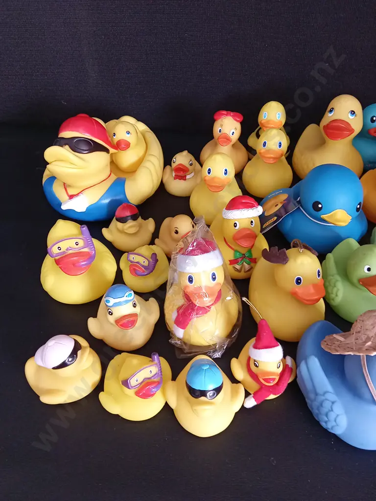 COLLECTION OF RUBBER DUCKS Image 1++