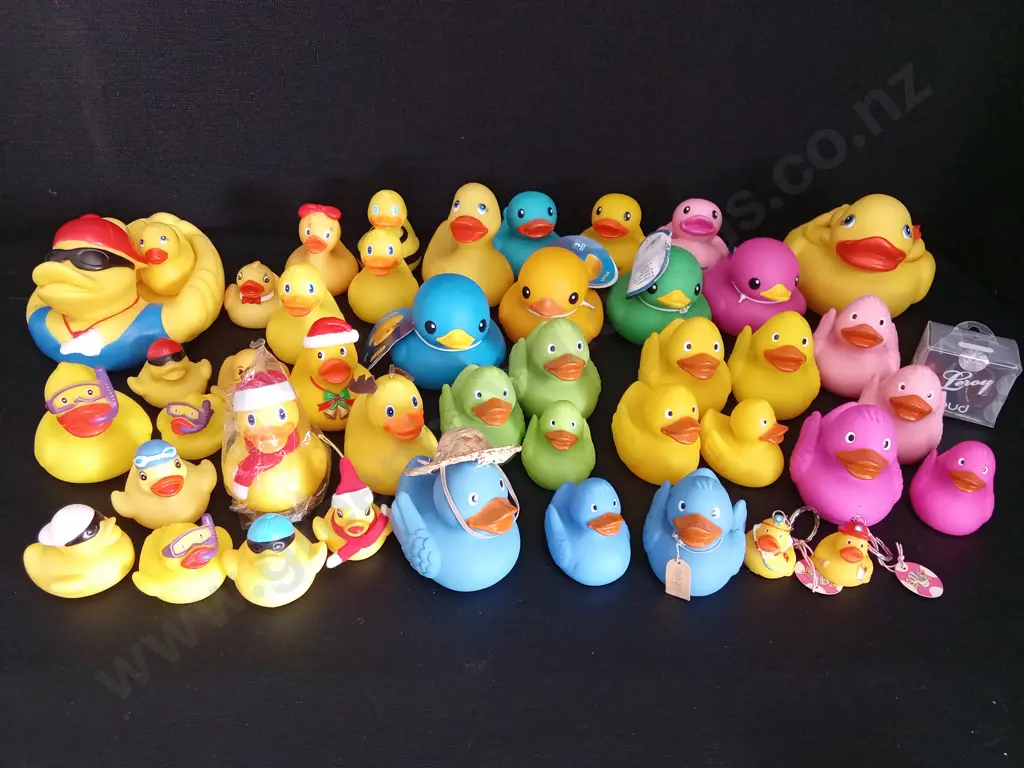 COLLECTION OF RUBBER DUCKS Image 1++