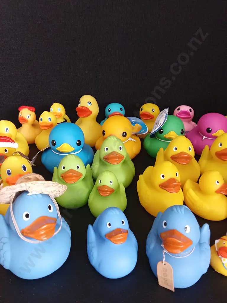 COLLECTION OF RUBBER DUCKS Image 1++