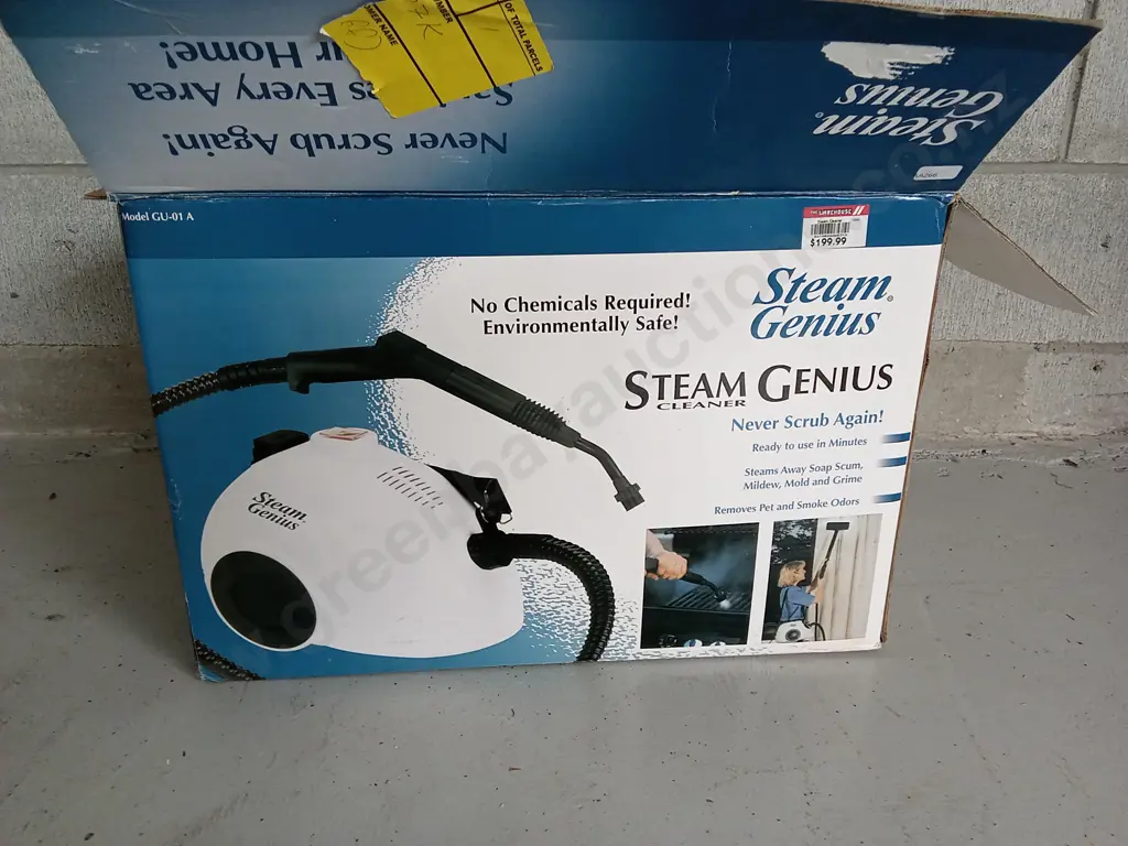 STEAM GENIUS STEAM CLEANER (UNTESTED) Image 1++
