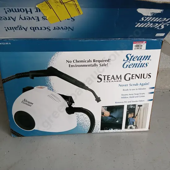 STEAM GENIUS STEAM CLEANER (UNTESTED)