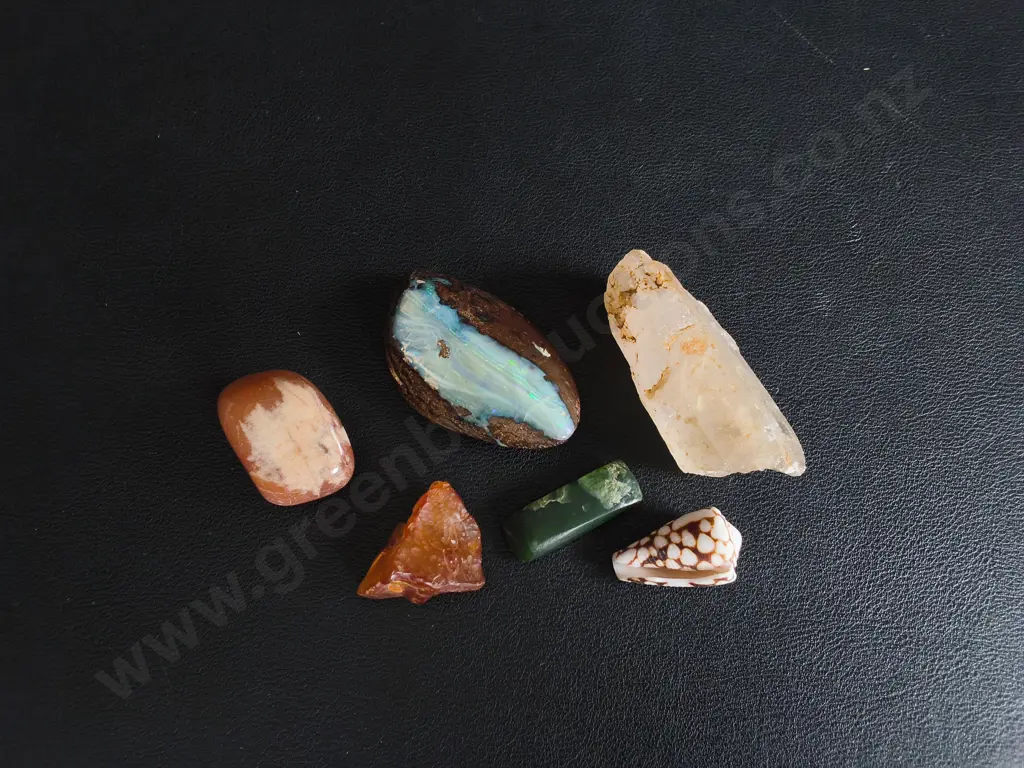 POLISHED AND TUMBLED STONES AND SHELL Image 1++