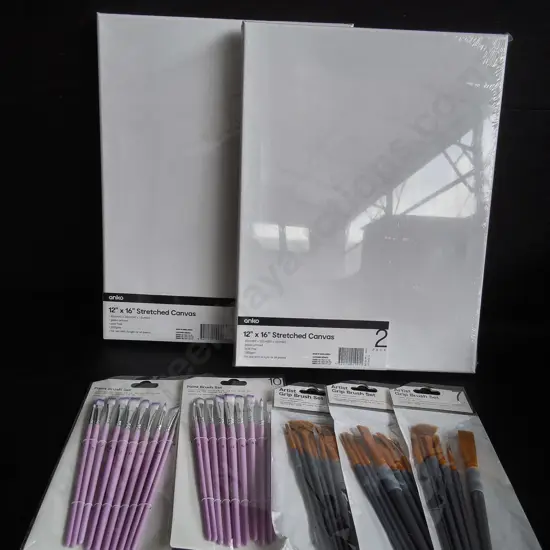 BRAND NEW PAINT BRUSHES AND CANVASES