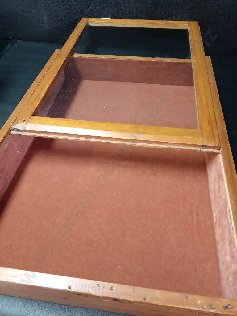 KAURI DISPLAY CASE H52.5CM L37.5CM D8CM Image 1++