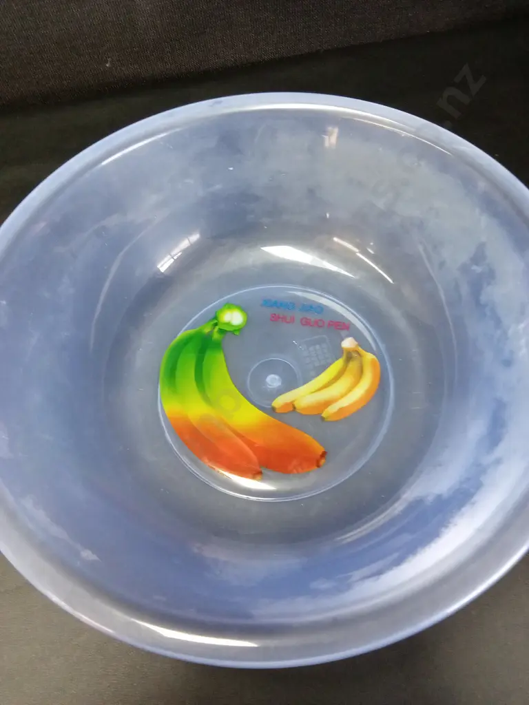 2 ILLUSTRATED BOWLS WITH MATCHING PLATE AND A PLASTIC BOWL DIA34CM Image 1++