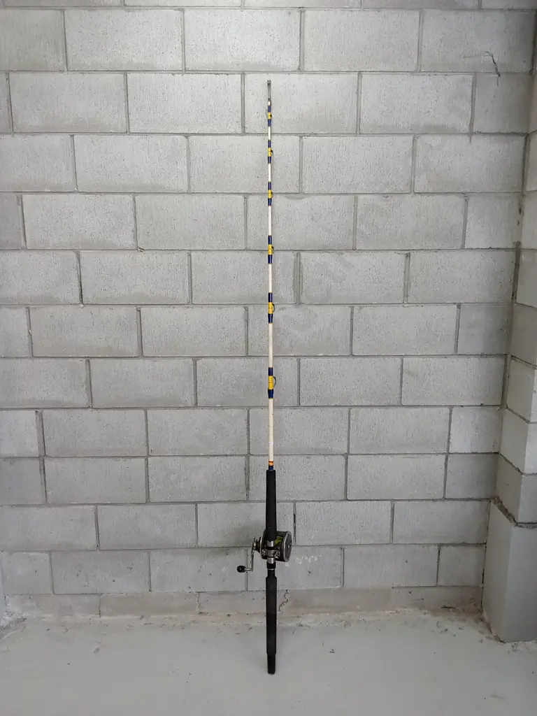 NZ ROD WITH DAIWA REEL, 210CM Image 1++