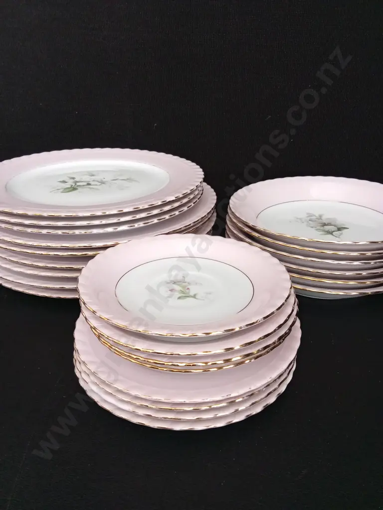 23 PIECESS VINTAGE WESTMINSTER FINE CHINA AUSTRALIA DINNER SET LARGEST DIA 25CM Image 1++