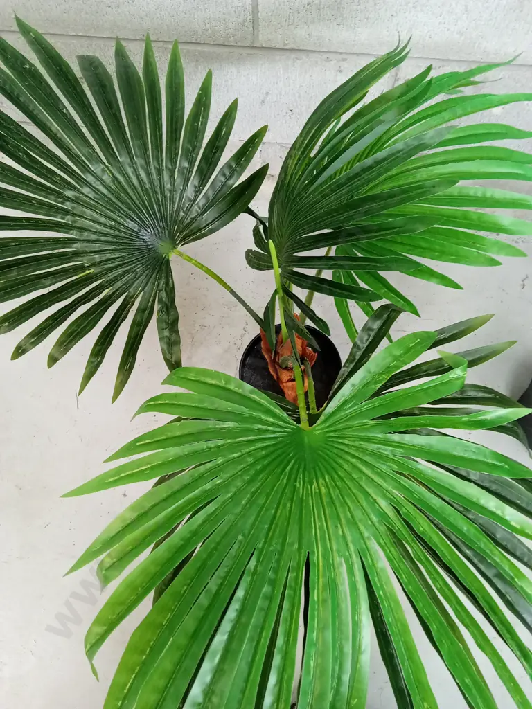 TWO FAKE POT PLANTS, H 165CM Image 1++