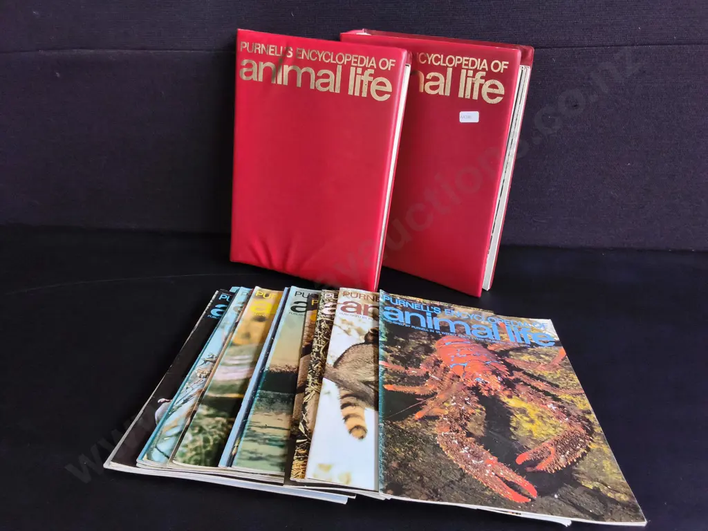 VINTAGE COLLECTION OF PURNELL'S ENCYCLOPEDIAS OF ANIMAL LIFE, BINDERS AND MAGAZINES Image 1++
