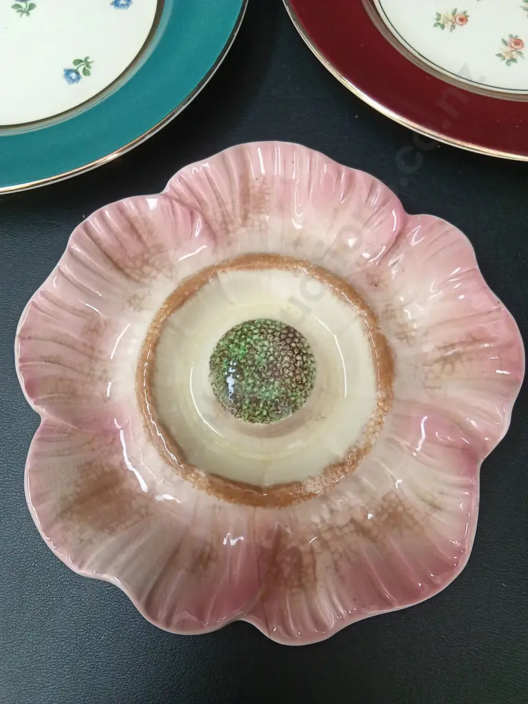 5 PLATES LARGEST D23.5CM INCLUDING CROWN LYNN, ASCOT AND MADDOCK Image 1++
