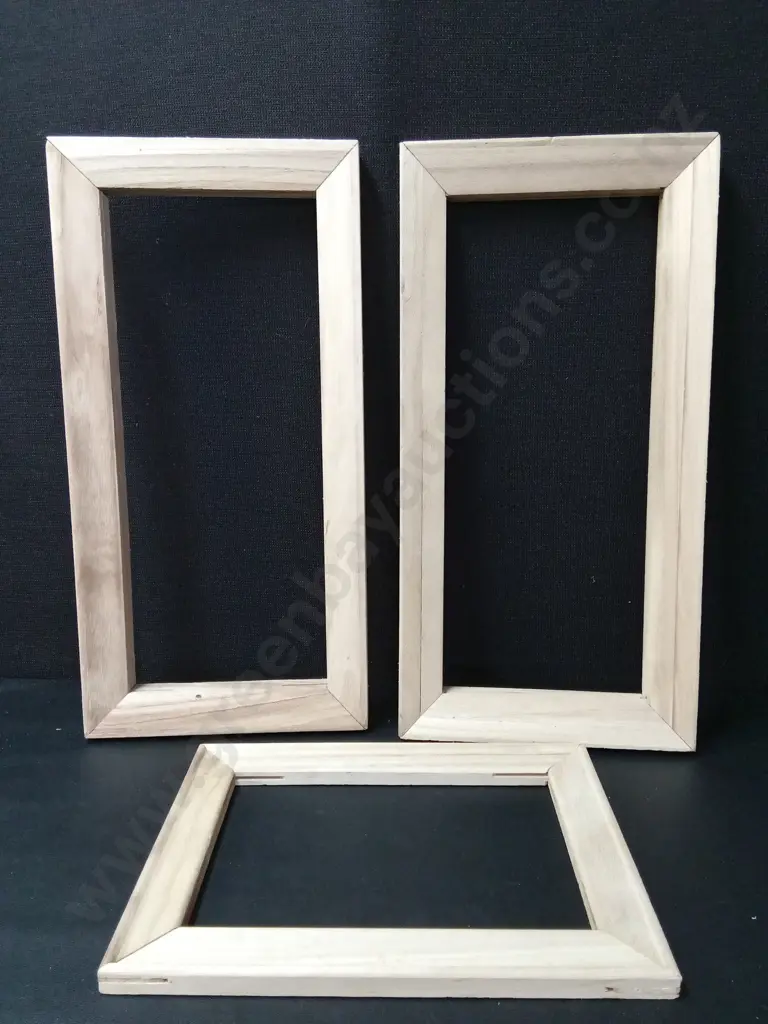 3 CANVAS FRAMES LARGEST 51CM - 25CM Image 1++