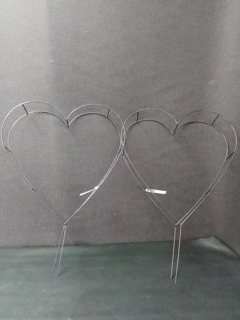 2 TAKASHO TOPIARY FRAME HEARTS 35CM Image 1++