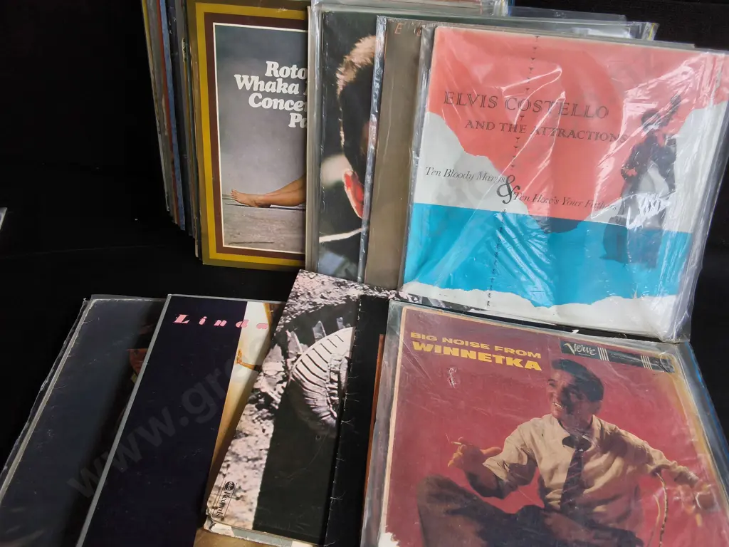 COLLECTION OF VINTAGE RECORDS Image 1++