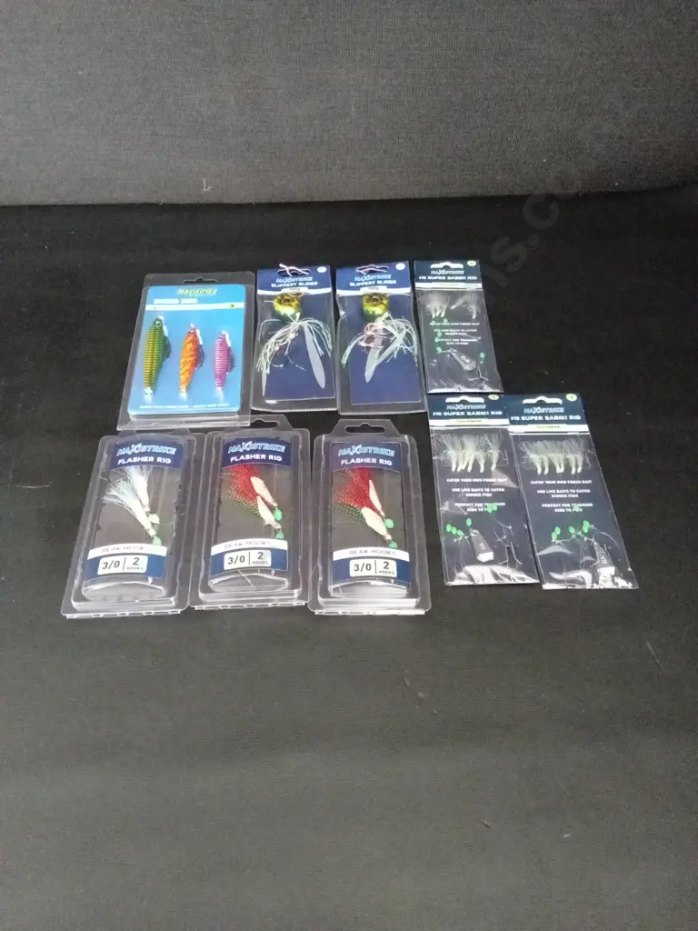 COLLECTION OF FISHING JIGS AND RIGS Image 1++