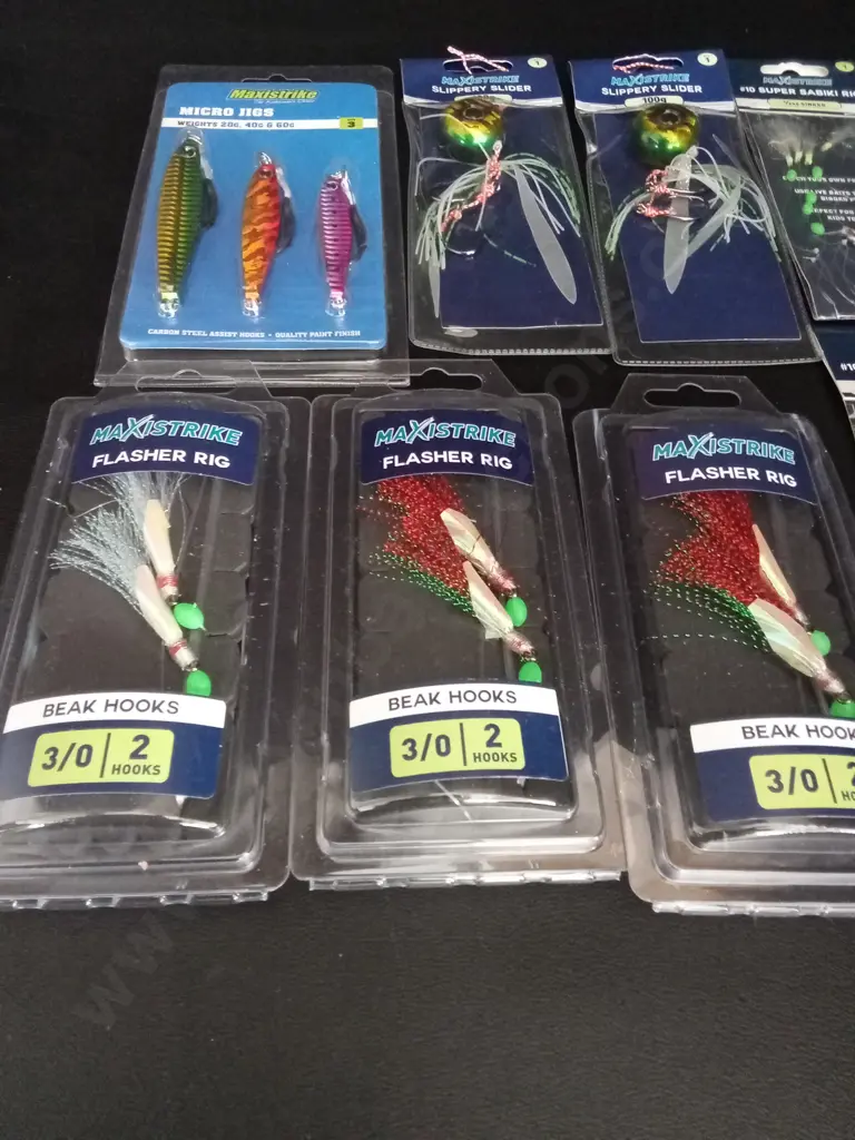 COLLECTION OF FISHING JIGS AND RIGS Image 1++