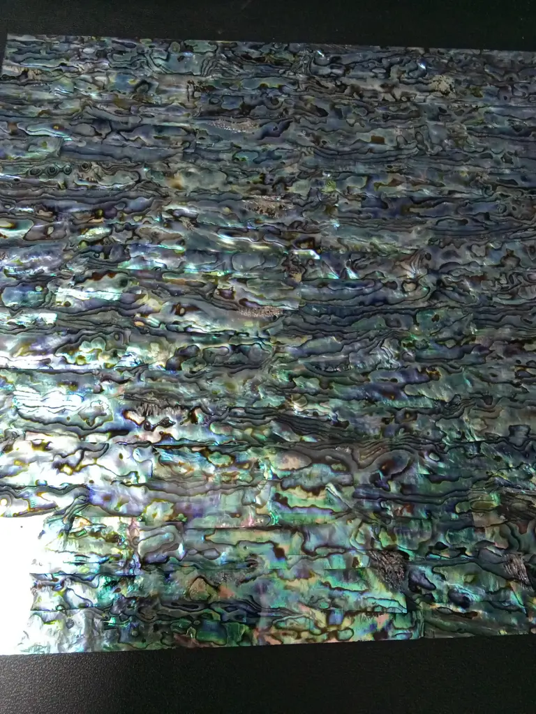 2 SHEETS OF GENUINE PĀUA SHELL 30CM X 30CM Image 1++