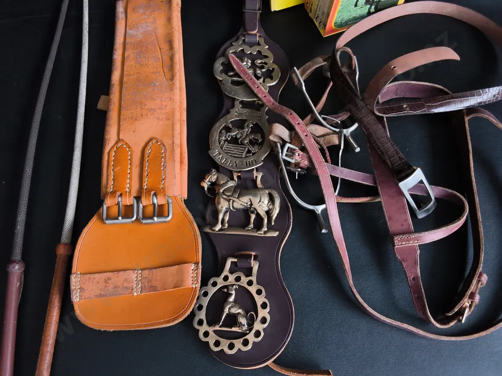 COLLECTION OF VINTAGE LEATHER AND BRASS EQUESTRIAN EQUIPMENT, INCLUDING BOOKS ON HORSES Image 1++