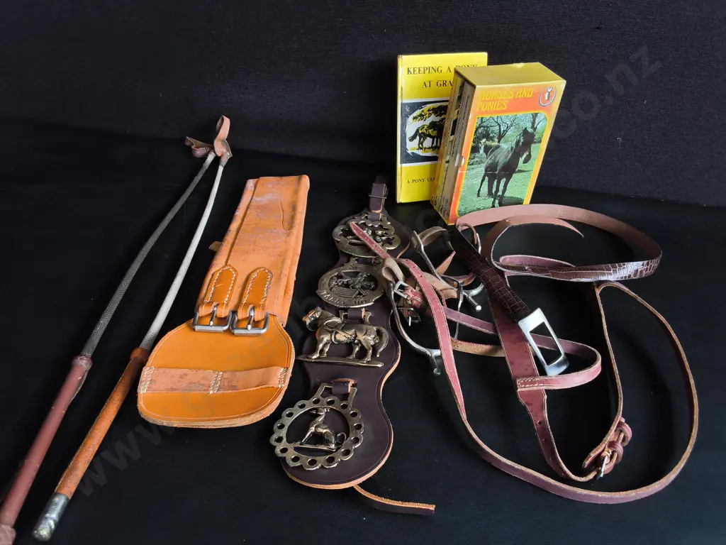COLLECTION OF VINTAGE LEATHER AND BRASS EQUESTRIAN EQUIPMENT, INCLUDING BOOKS ON HORSES Image 1++