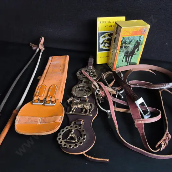 COLLECTION OF VINTAGE LEATHER AND BRASS EQUESTRIAN EQUIPMENT, INCLUDING BOOKS ON HORSES