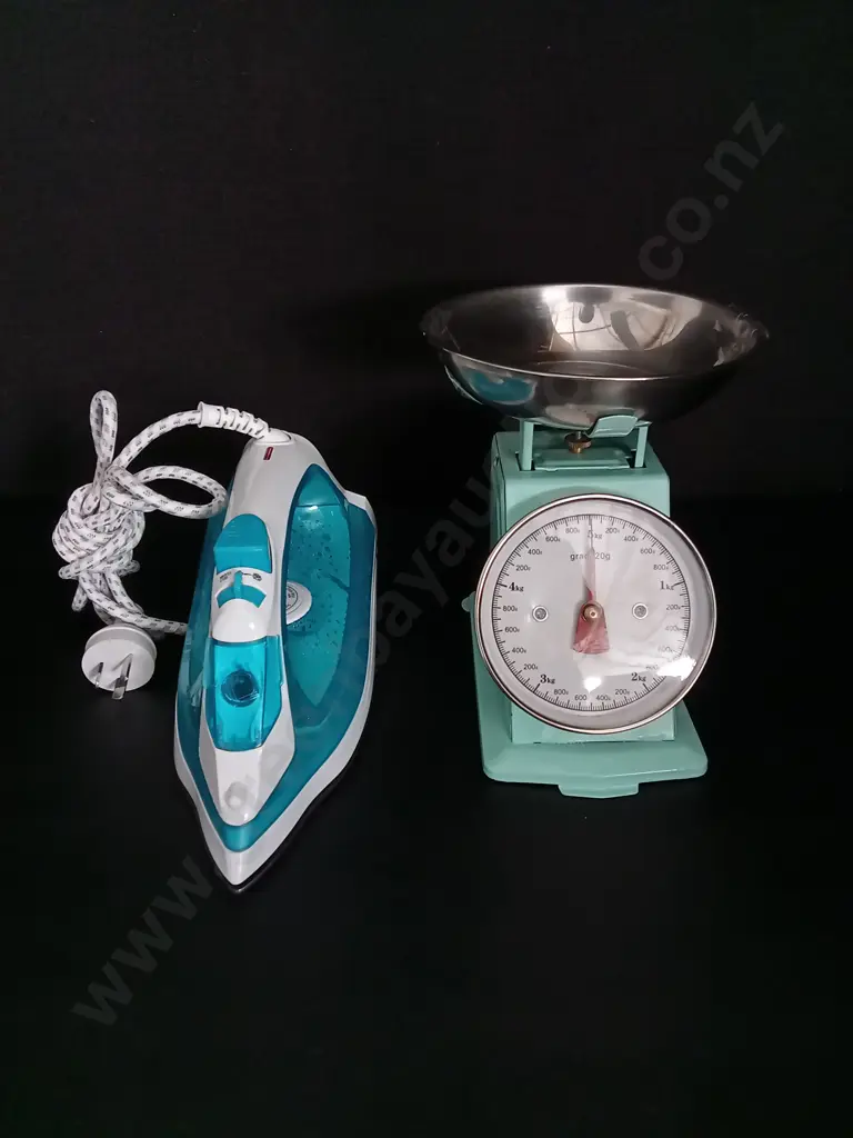 HOUSEHOLD ITEMS SCALE AND IRON Image 1++