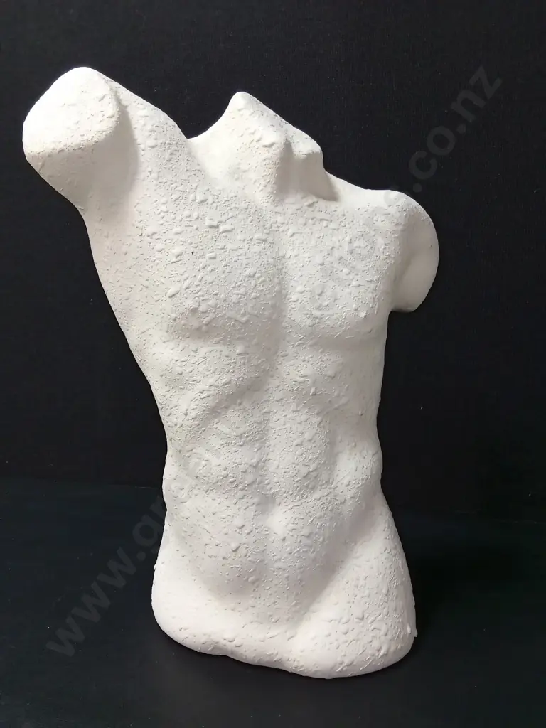 FEMALE AND MALE TEXTURED TORSO SCULPTURES H37CM Image 1++