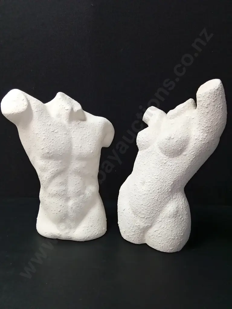 FEMALE AND MALE TEXTURED TORSO SCULPTURES H37CM Image 1++