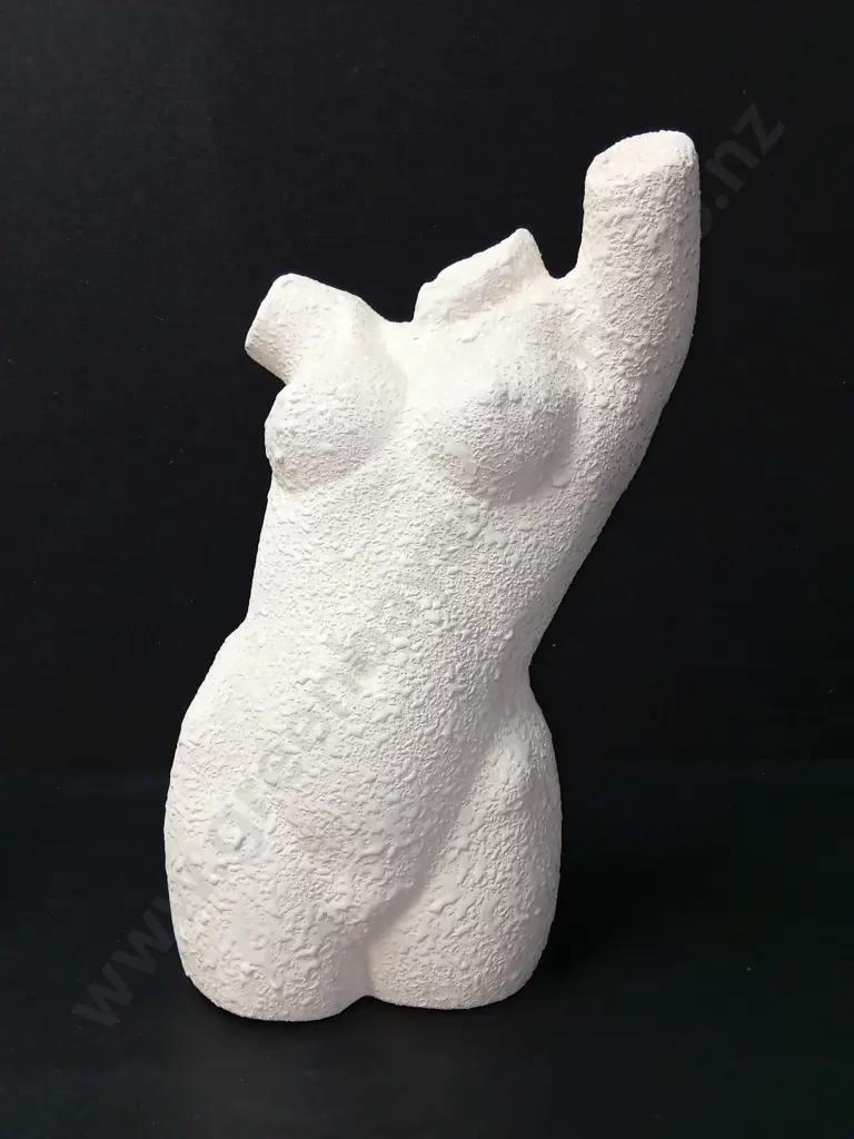 FEMALE AND MALE TEXTURED TORSO SCULPTURES H37CM Image 1++