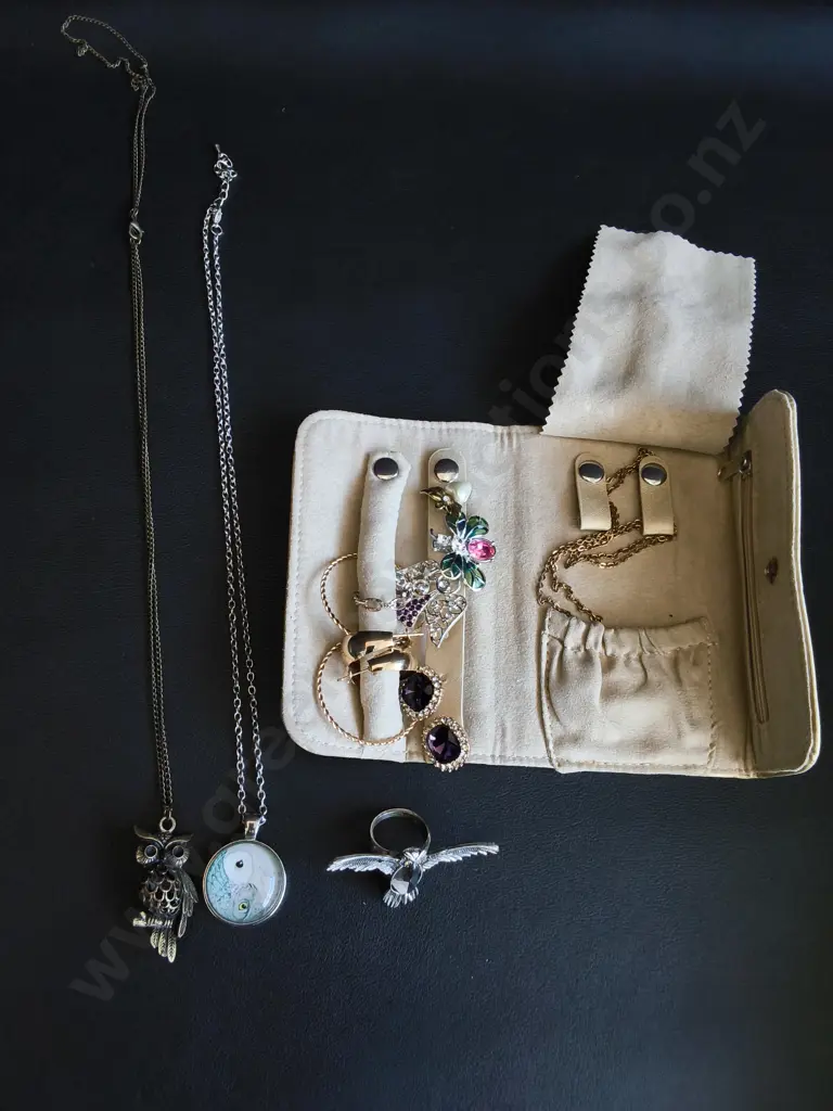 MIX OF JEWELRY AND JEWELRY CASE Image 1++